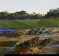 Spence Wines - Sydney 4u