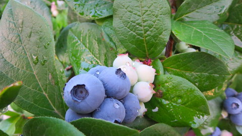 Tuckerberry Hill - Accommodation Sydney 0