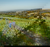 Wills Domain - Accommodation Sydney