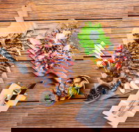 Bar Alto - Accommodation Sydney