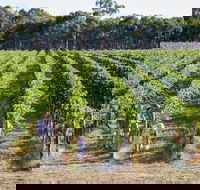 Weathercraft Wines - Accommodation Sydney