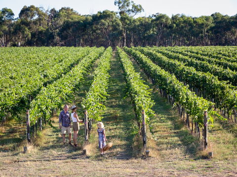 Weathercraft Wines - Accommodation Sydney 0
