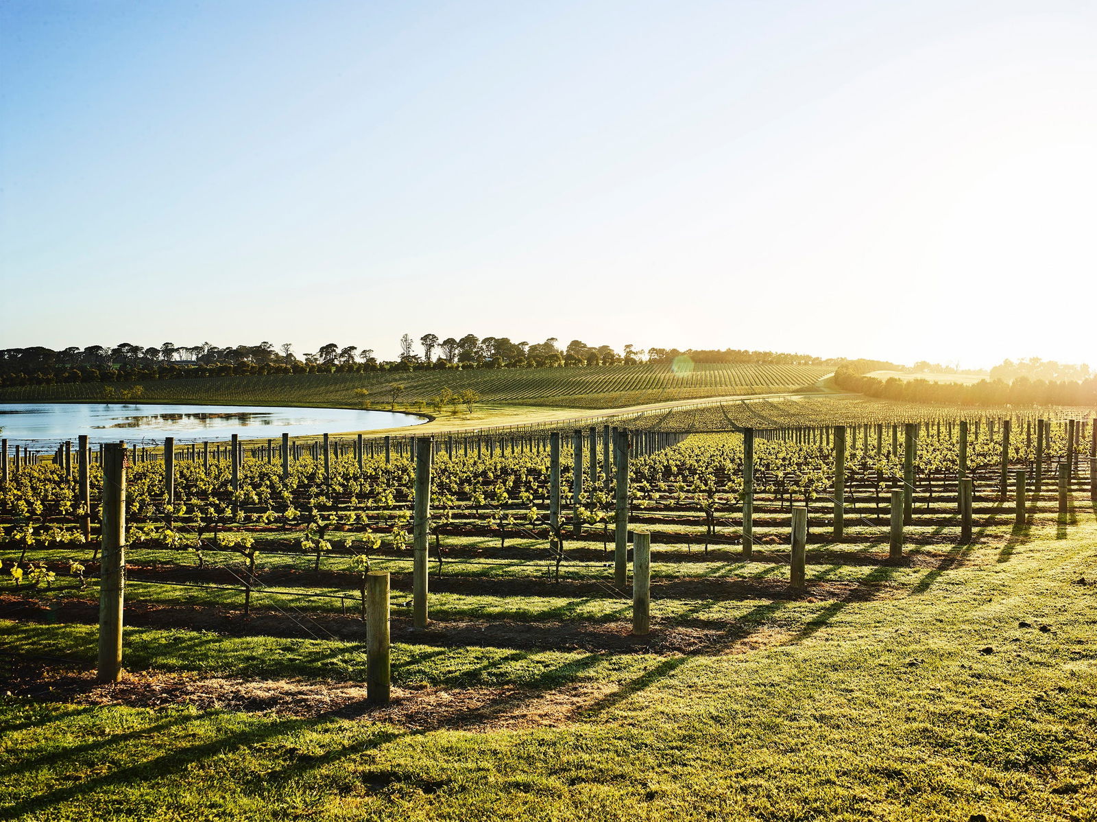 Merricks VIC Accommodation Sydney