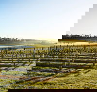 Wine Terrace and Cellar Door at Pt Leo Estate - Accommodation Sydney