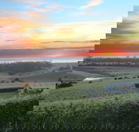 Cape Bernier Vineyard - Sydney 4u