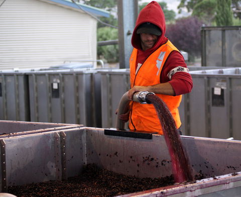 Haselgrove Wines - Sydney 4u 2