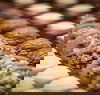 Rebel Donuts - Accommodation Sydney