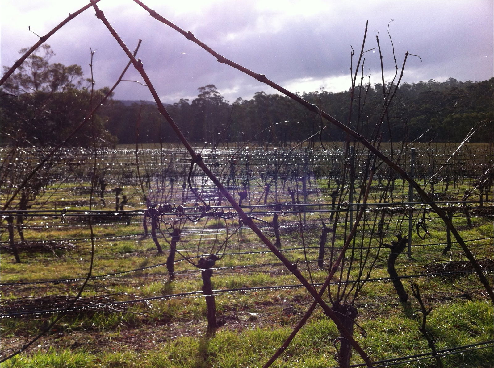 Orford TAS Accommodation Sydney