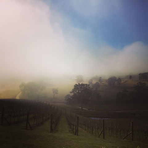 Dryridge Estate - Sydney 4u 1