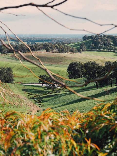 Green Door Winery Cellar Door - Sydney 4u 0