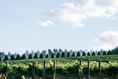 Passing Clouds - Accommodation Sydney 1