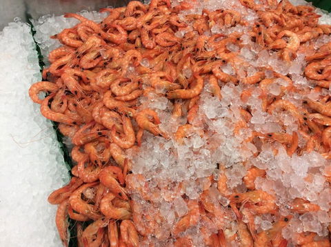 Pearly Oyster Bar And Farm - Sydney 4u 1