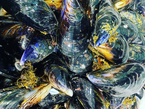 Pearly Oyster Bar And Farm - Sydney 4u 2