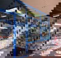 Daily Catch - Accommodation Sydney