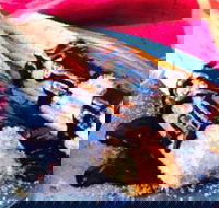 Donut King - Broadmeadows - Accommodation Sydney