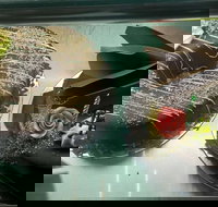 Meldrums Pies in Paradise - Accommodation Sydney