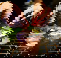 Paulie's Corner - Accommodation Sydney