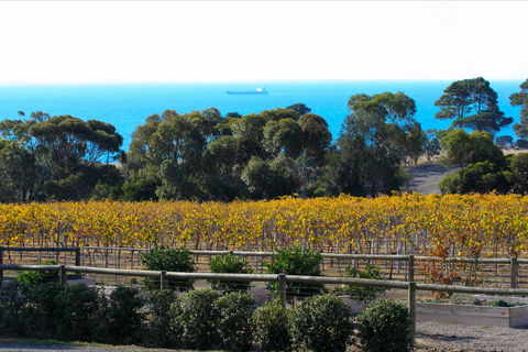 Terindah Estate - Accommodation Sydney 2