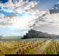 Fallen Giants Vineyard - Sydney 4u
