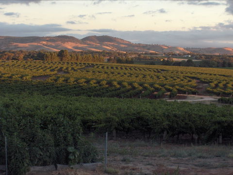Heritage Wines - Sydney 4u 2