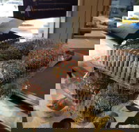 Brumby's - Holland Park - Accommodation Sydney