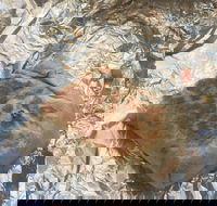 Mad Mex Fresh Mexican Grill - Accommodation Sydney