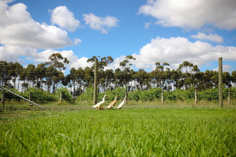 Pierrepoint Wines Cellar Door - Sydney 4u 1