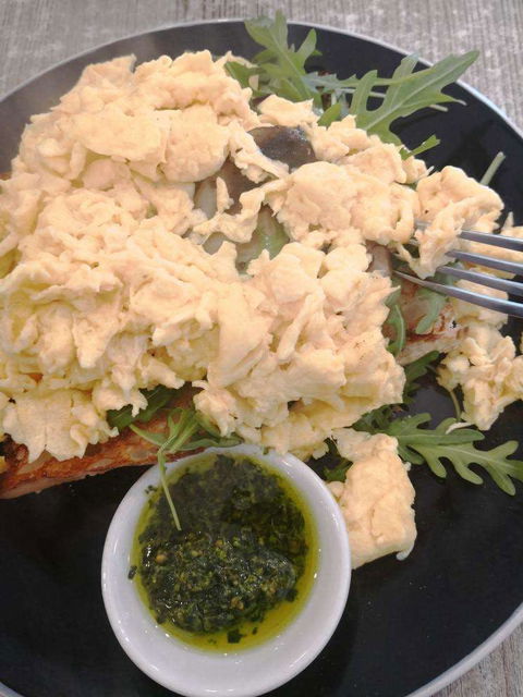 Toasta - Accommodation Sydney 0