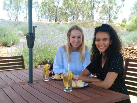 Lyndoch Lavender Farm Cafe - Accommodation Sydney 1