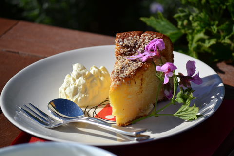 Lyndoch Lavender Farm Cafe - Accommodation Sydney 2