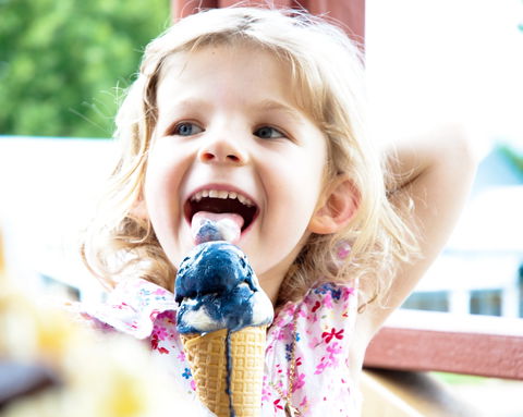 Kangaroo Valley Fudge House And Ice Creamery - Sydney 4u 2