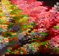 Miettes Boulangerie Patisserie - Graceville - Accommodation Sydney