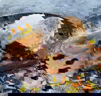 My Mistress - Accommodation Sydney