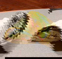 Wrap N Roll - Helensvale - Accommodation Sydney