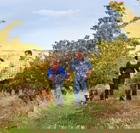 WayWood Wines - Sydney 4u