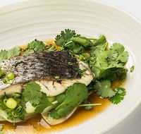 The Mossy Cafe - Sydney 4u