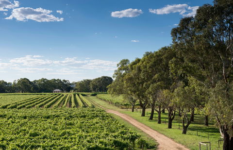 Bleasdale Vineyards - Sydney 4u 1