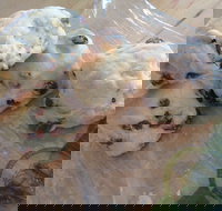 Brumby's - Clayfield - Accommodation Sydney