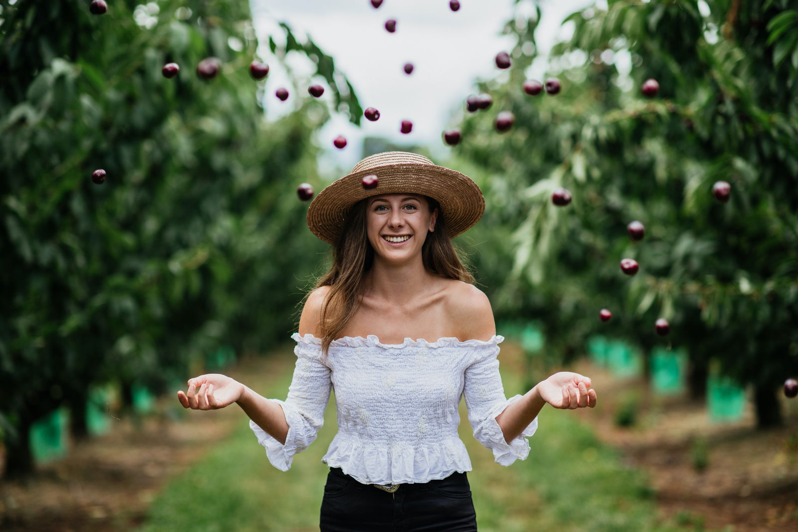 Wandin East VIC Accommodation Sydney