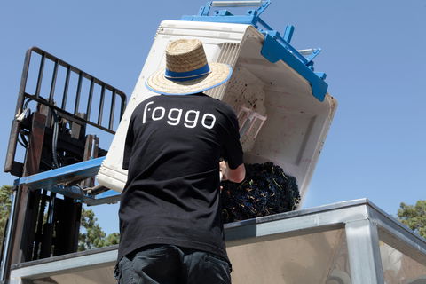 Foggo Wines - Accommodation Sydney 1