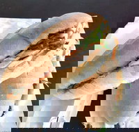 Lunch Bake - Accommodation Sydney