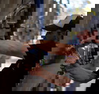 Wild Hop Brewing Company - Accommodation Sydney