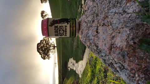 Black Dog Brewery - Sydney 4u 2