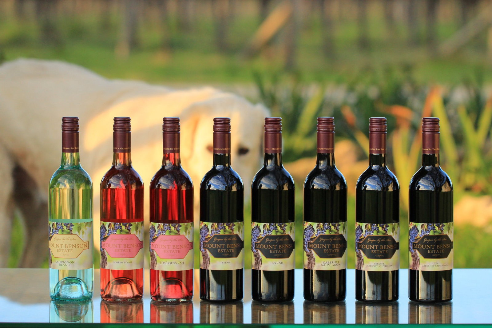  Accommodation Sydney