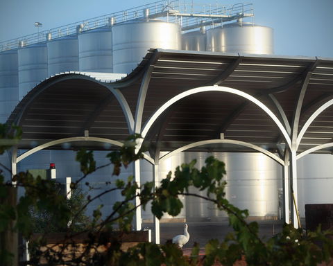 Andrew Peace Wines - Accommodation Sydney 2