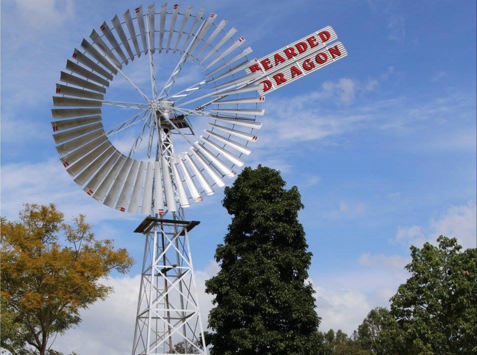 Tamborine QLD Accommodation Sydney