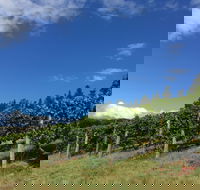 Freycinet Vineyard - Accommodation Sydney
