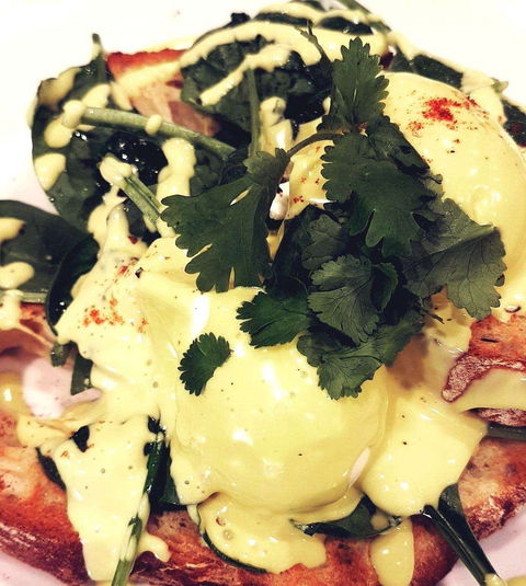 Jamaica Blue - Success - Accommodation Sydney 0