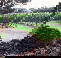Spring Vale Vineyard - Accommodation Sydney