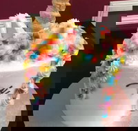 The Cake Gallery - Accommodation Sydney